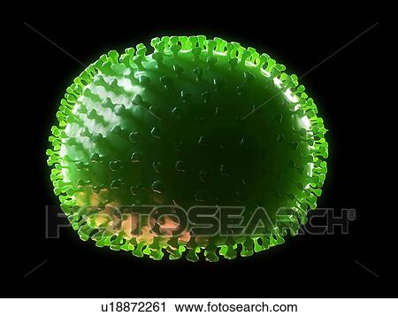 Flu virus, computer artwork. View Large Photo Image Stock Image - Flu virus, computer artwork.. Fotosearch