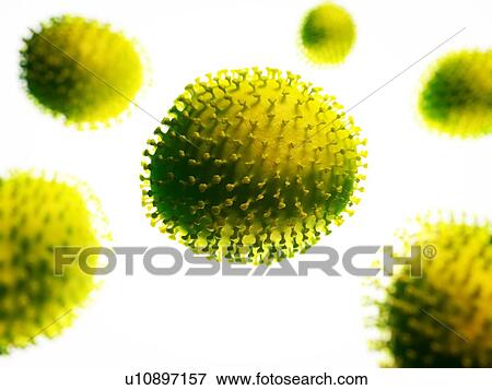 Stock Photo - Flu virus, computer artwork.. Fotosearch
