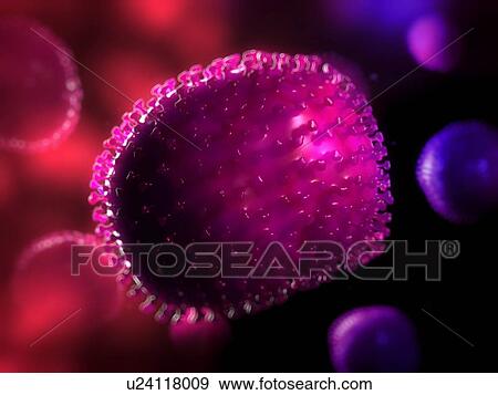 Flu virus, computer artwork. View Large Photo Image Stock Photo - Flu virus, computer artwork.. Fotosearch