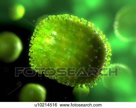 Flu virus, computer artwork. View Large Photo Image Stock Photograph - Flu virus, computer artwork.. Fotosearch