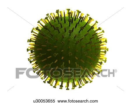Stock Photography - Flu virus, computer artwork.. Fotosearch