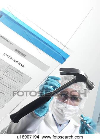 Picture - Forensic science. Forensic scientist taking a DNA (deoxyribonucleic acid) sample from a hammer.. Fotosearch