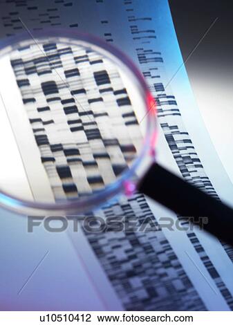 Stock Image - Genetic analysis, conceptual image.. Fotosearch