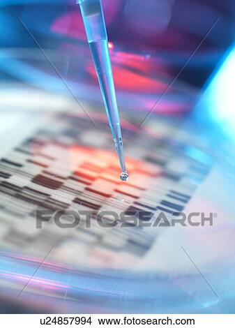 Picture - Genetic research, conceptual image. DNA (deoxyribonucleic acid) autoradiogram in a petri dish.. Fotosearch