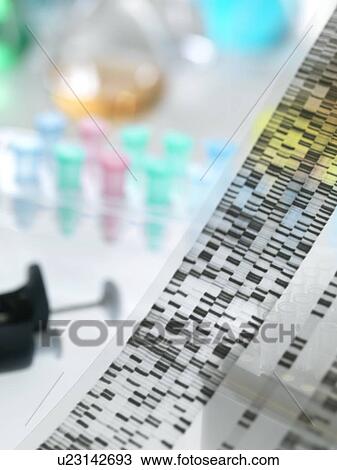 Genetic research. DNA (deoxyribonucleic acid) autoradiogram. View Large Photo Image Stock Image - Genetic research. DNA (deoxyribonucleic acid) autoradiogram.. Fotosearch