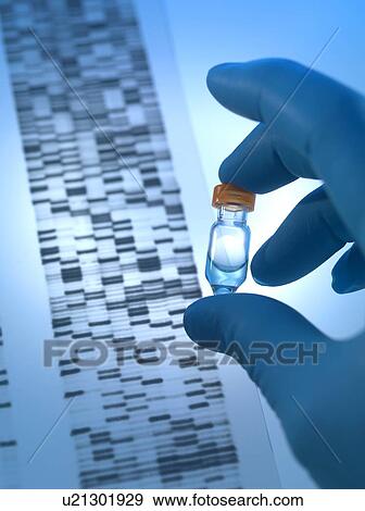 Stock Photo - Genetic research. Genetic sample and DNA (deoxyribonucleic acid) autoradiogram.. Fotosearch