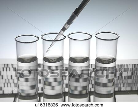 Genetic research. Pipetting into a test tube sitting in front of a DNA (deoxyribonucleic acid) autoradiogram. View Large Photo Image Stock Photograph - Genetic research. Pipetting into a test tube sitting in front of a DNA (deoxyribonucleic acid) autoradiogram.. Fotosearch