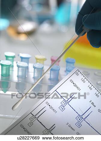 Genetic testing. DNA (deoxyribonucleic acid) swab and genetic test results. View Large Photo Image Stock Photo - Genetic testing. DNA (deoxyribonucleic acid) swab and genetic test results.. Fotosearch