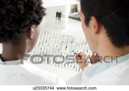 Picture - Genetics research.. Fotosearch