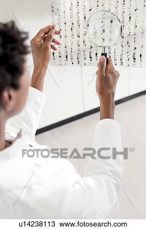 Stock Image - Genetics research.. Fotosearch