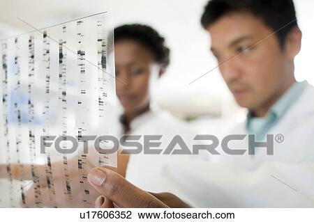 Stock Image - Genetics research.. Fotosearch