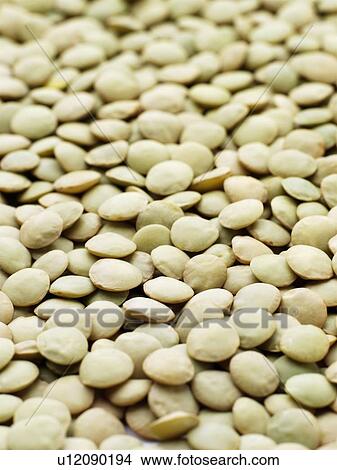 Green lentils. View Large Photo Image Picture - Green lentils.. Fotosearch