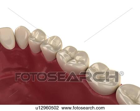 Stock Image - Healthy teeth, computer artwork.. Fotosearch