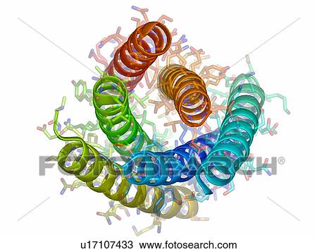 Stock Image - Hendra virus fusion protein. Molecular model of the core of the fusion protein from the hendra virus. This protein is involved in the fusion of the virus with host cells.. Fotosearch