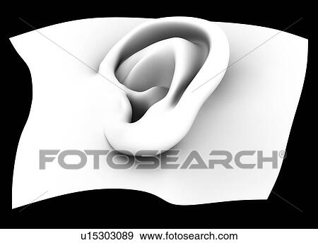 Stock Photo - Human ear, computer artwork. This could represent the growing of new human organs in the laboratory. This process is called tissue engineering, using a patient's stem cells.. Fotosearch