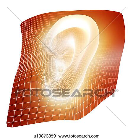 Stock Photo - Human ear, computer artwork. This could represent the growing of new human organs in the laboratory. This process is called tissue engineering, using a patient's stem cells.. Fotosearch