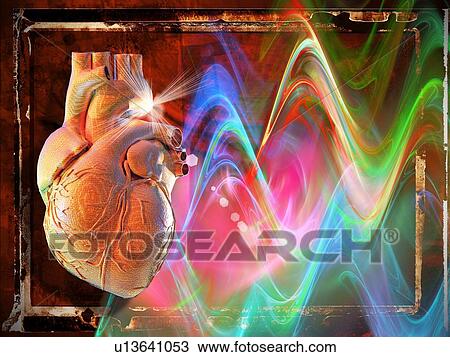Human heart, computer artwork. View Large Photo Image Stock Image - Human heart, computer artwork.. Fotosearch
