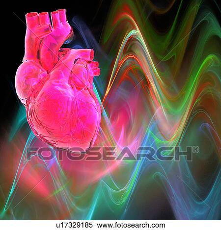 Stock Photography - Human heart, computer artwork.. Fotosearch