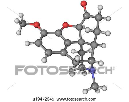 Hydrocodone, molecular model. This is an opioid drug that is used as an analgesic (painkiller) and cough suppressant. Atoms are represented as spheres and are colour-coded: carbon (grey), hydrogen (white), oxygen (red) and nitrogen (blue). View Large Photo Image Stock Photography - Hydrocodone, molecular model. This is an opioid drug that is used as an analgesic (painkiller) and cough suppressant. Atoms are represented as spheres and are colour-coded: carbon (grey), hydrogen (white), oxygen (red) and nitrogen (blue).. Fotosearch
