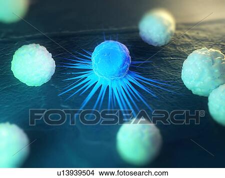 Immune response to cancer. Computer artwork of white blood cells (green) attacking a cancerous cell (blue). View Large Photo Image Picture - Immune response to cancer. Computer artwork of white blood cells (green) attacking a cancerous cell (blue).. Fotosearch