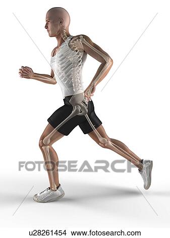 Jogger, computer artwork. View Large Photo Image Picture - Jogger, computer artwork.. Fotosearch