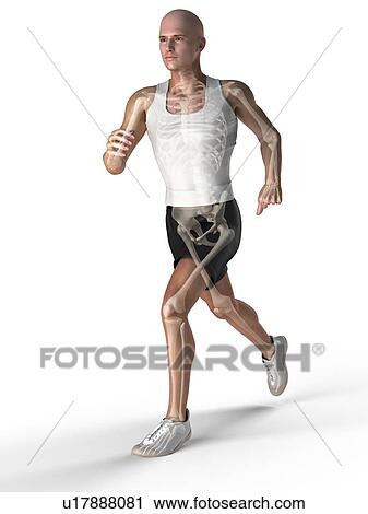 Jogger, computer artwork. View Large Photo Image Stock Image - Jogger, computer artwork.. Fotosearch