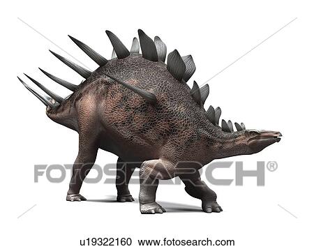 Stock Image - Kentrosaurus dinosaur, computer artwork. This dinosaur lived 145 to 160 million years ago during the Late Jurassic period.. Fotosearch