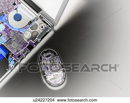 Picture - Laptop and mouse interior.. Fotosearch