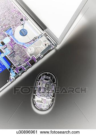 Stock Image - Laptop and mouse interior.. Fotosearch