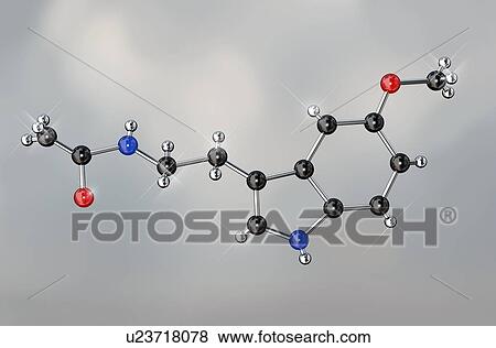 Melatonin hormone, molecular model. Atoms are represented as spheres and are colour-coded: carbon (black), hydrogen (silver), nitrogen (blue) and oxygen (red). View Large Photo Image Stock Photo - Melatonin hormone, molecular model. Atoms are represented as spheres and are colour-coded: carbon (black), hydrogen (silver), nitrogen (blue) and oxygen (red).. Fotosearch