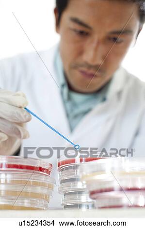 Picture - Microbiology research.. Fotosearch