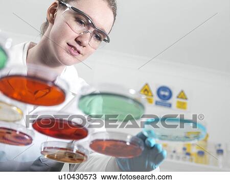 Stock Image - Microbiology research.. Fotosearch