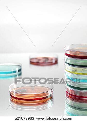 Stock Image - Microbiology research.. Fotosearch