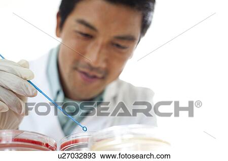Stock Image - Microbiology research.. Fotosearch