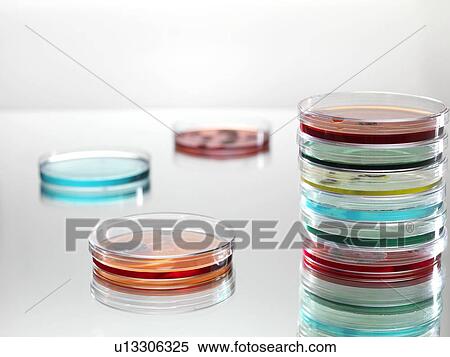 Microbiology research. View Large Photo Image Stock Photography - Microbiology research.. Fotosearch
