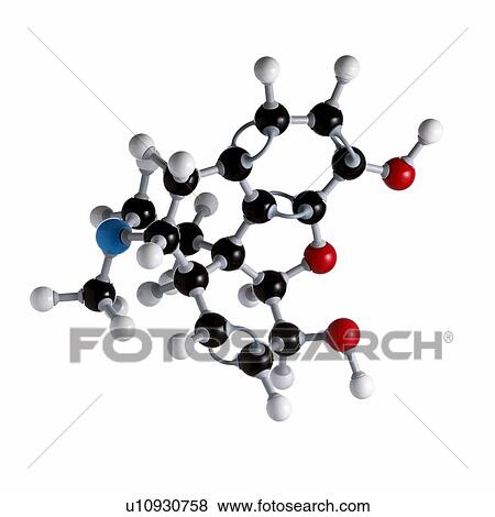 Morphine drug molecule. Atoms are represented as spheres and are colour-coded: carbon (black), hydrogen (white), nitrogen (blue) and oxygen (red). View Large Photo Image Stock Photo - Morphine drug molecule. Atoms are represented as spheres and are colour-coded: carbon (black), hydrogen (white), nitrogen (blue) and oxygen (red).. Fotosearch