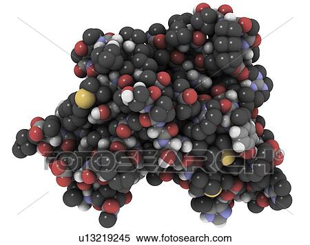 Stock Photography - Mouse prion protein. Molecular model of the PRP domain of a mouse prion protein.. Fotosearch