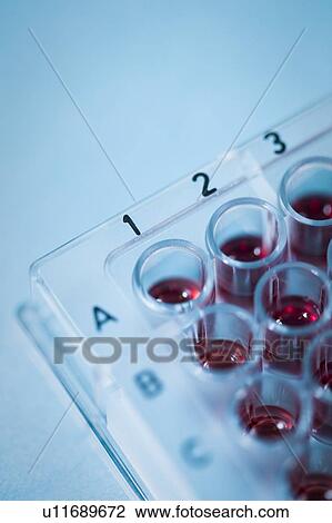 Multiwell sample tray. View Large Photo Image Stock Image - Multiwell sample tray.. Fotosearch