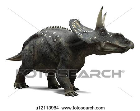 Picture - Nedoceratops dinosaur, computer artwork. This dinosaur, formerly known as Diceratops, lived 70 million years ago during the Cretaceous period.. Fotosearch