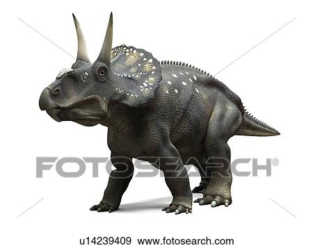 Stock Photo - Nedoceratops dinosaur, computer artwork. This dinosaur, formerly known as Diceratops, lived 70 million years ago during the Cretaceous period.. Fotosearch