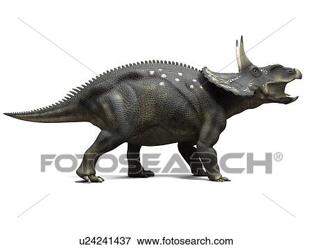 Stock Photo - Nedoceratops dinosaur, computer artwork. This dinosaur, formerly known as Diceratops, lived 70 million years ago during the Cretaceous period.. Fotosearch
