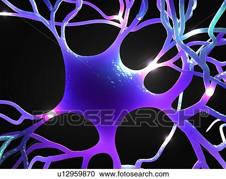 Nerve cell, computer artwork. View Large Photo Image Stock Image - Nerve cell, computer artwork.. Fotosearch