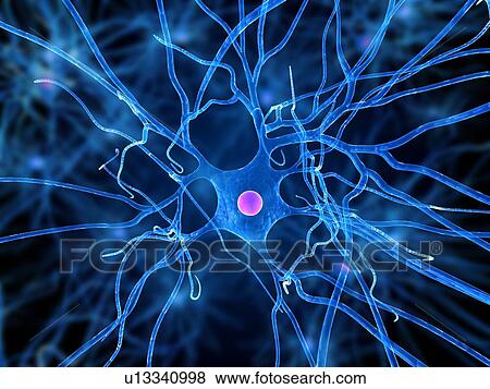 Nerve cell, computer artwork. View Large Photo Image Stock Photo - Nerve cell, computer artwork.. Fotosearch