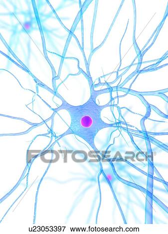 Nerve cell, computer artwork. View Large Photo Image Stock Photo - Nerve cell, computer artwork.. Fotosearch