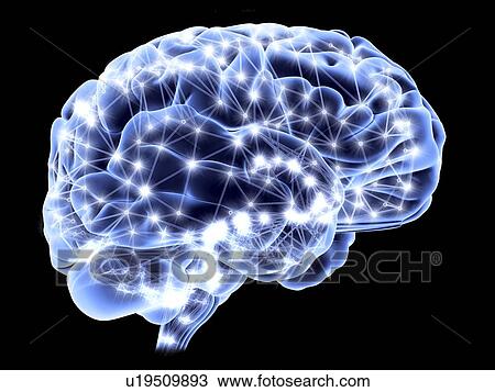 Stock Image - Neural network. Computer artwork of a brain in side view, with the brain's neural network represented by lines and flashes. A neural network is made up of nerve cells (neurons).. Fotosearch