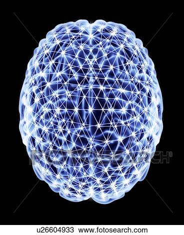 Stock Image - Neural network. Computer artwork of a brain in top view, with the brain's neural network represented by lines and flashes. A neural network is made up of nerve cells (neurons).. Fotosearch