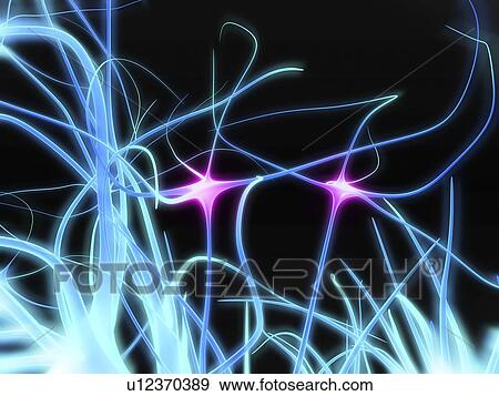 Neural network. Computer artwork of nerve cells or neurons. Neurons are responsible for passing information around the central nervous system (CNS) and from the CNS to the rest of the body. Each nerve cell comprises a body surrounded by numerous extension View Large Photo Image Stock Photo - Neural network. Computer artwork of nerve cells or neurons. Neurons are responsible for passing information around the central nervous system (CNS) and from the CNS to the rest of the body. Each nerve cell comprises a body surrounded by numerous extension. Fotosearch
