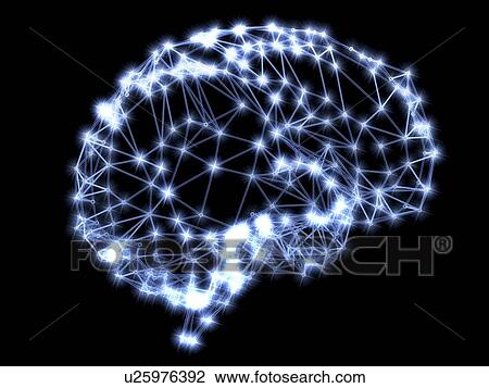 Stock Image - Neural network. Computer artwork of the brain's neural network represented by lines and flashes. A neural network is made up of nerve cells (neurons).. Fotosearch