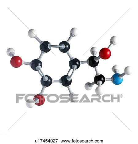 Stock Photo - Noradrenaline molecule. Atoms are represented as spheres and are colour-coded: carbon (black), hydrogen (white), nitrogen (blue) and oxygen (red).. Fotosearch