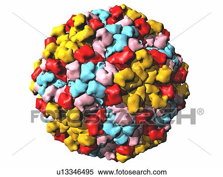 Stock Photography - Nudaurelia capensis omega virus. Computer model of the capsid of the Nudaurelia capensis omega virus.. Fotosearch